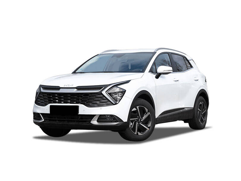 FRONT 2 WINDOWS REMOVABLE TINT